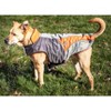 Dog Helios (R) Lotus-Rusher 2-in-1 Dual-Removable Layered Performance Dog Jacket - 4 of 4