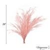 Uniquewise Preserved Real Floral Stems Chic Vase Fillers & Accents for Bouquets Centerpieces - 3 of 4