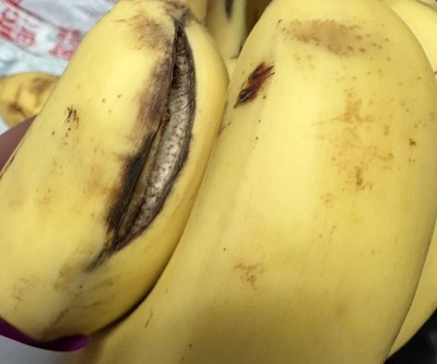 Guest review image 2 of 2, zoom in