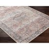 Hauteloom Dunsha Boutique Washable Area Rug - 3 of 4
