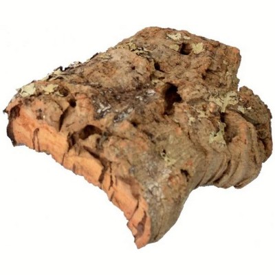 Zoo Med Natural Cork Bark for Reptiles and Invertebrates