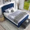 Amando Button Tufted Upholstered Bed - HOMES: Inside + Out - 3 of 4