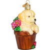 Old World Christmas Blown Glass Ornament for Christmas Tree, Puppy in a Flower Pot - 2 of 4