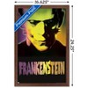 Trends International Frankenstein - Close-Up Framed Wall Poster Prints - 3 of 4