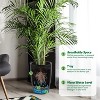 1-Pair Black Self-Watering Planters – 21.7” Tall, Water Level Gauge, Tall-Round Series – For Large Plants - 3 of 4
