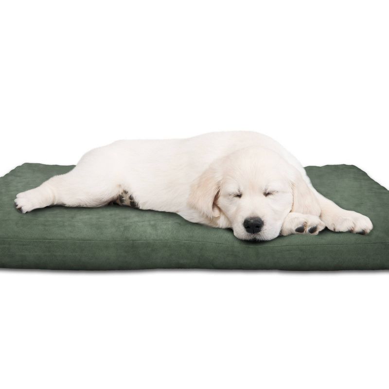 Petmaker 3" Foam Dog Bed - 25.5"x19" - Forest, 4 of 6