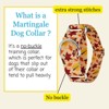 Country Brook Petz HossFit Jr Wide Martingale Dog Collar - Awesome Autumn Collection - 2 of 4
