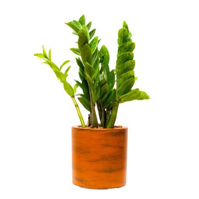 VisioGear 7.8" Round Planter Pot, Outdoor and Indoor Planter Pot with Support Base, Brown, 7.8"*7.8"*7.8"