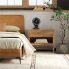 IRIS USA WOOZOO Fan with Remote, Oscillating Fan, Desk Fan, Table Air Circulator, Globe Fan, Fan for Bedroom, Low Noise DC Motor - 2 of 4