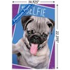 Trends International Keith Kimberlin - Kittens - Pug - Selfie Unframed Wall Poster Prints - 3 of 4