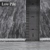 Acekool 4x6 Modern Ombre Washable Rug, Non-Slip Soft Low Pile Area Rug, Non-Shedding Accent Carpet for Living Room, Bedroom, Office, Grey - 4 of 4