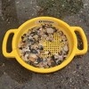 Spielstabil 12 Pack Large Sand Sieve Beach Toy (5 Red, 5 Blue, 2 Yellow Sifters) - Made in Germany - 4 of 4