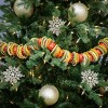 4' Dried Citrus and Tomato Garland - National Tree Company - 2 of 4