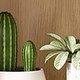 natural wood color