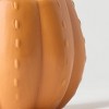 Pumped for Fall Orange Live Houseplant - Good Little Garden™ - 2 of 4