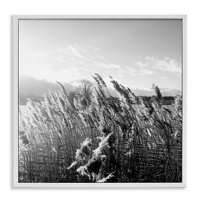 Stupell Industries Tall Grass Lake Water Landscape, 12" x 12"