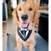 Parisian Pet 'Tuxedo Bandana' - Comfortable, Trendy Formal Black Bandana for Dogs & Cats, Perfect for Special Events - 2 of 4