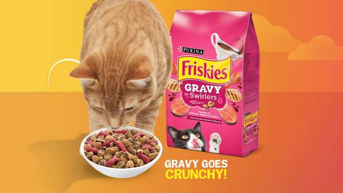 Purina Friskies Gravy Swirlers with Flavors of Chicken, Salmon & Gravy Adult Complete & Balanced Dry Cat Food, 2 of 10, play video