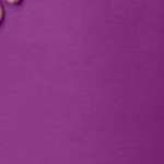 purple magenta