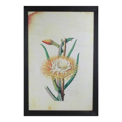 Northlight 26” Yellow and Green Desert Baileya Flower with Black Photo Frame