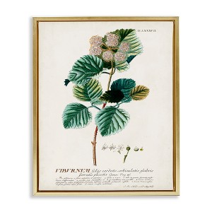 Stupell Industries Scientific Botanical Plant Seeds Floating Frame Canvas Art - 1 of 4