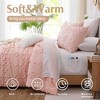 BAGOKIE 5/7 Pieces Pom Tufted Bed in a Bag Comforter Set - 4 of 4