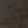charcoal