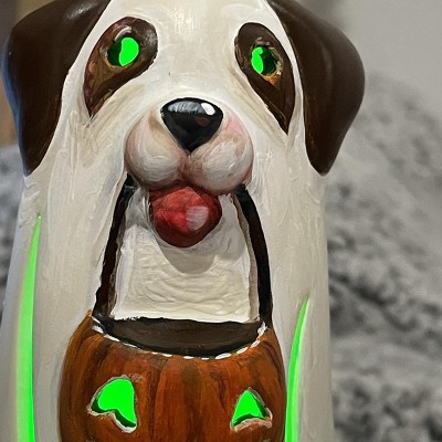 Guest review image 1 of 6, zoom in