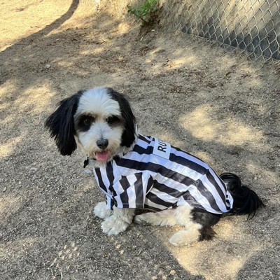 Target, Dog, Hyde Eek Boutique Referee Rufferee Dog Cat Halloween Costume  Size Small