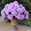 Floral Home 20" Lavender Hydrangea with 7 Silk Flowers & Leaves - 2-Piece - 4 of 4