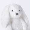 Bunny Plush Animal with Mini Plush Bunny Stuffed Animal Toy - 2pc - Cloud  Island™