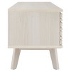 Aurelio 1 Door 2 Shelf Media Stand - MED9600 - Safavieh - 4 of 4