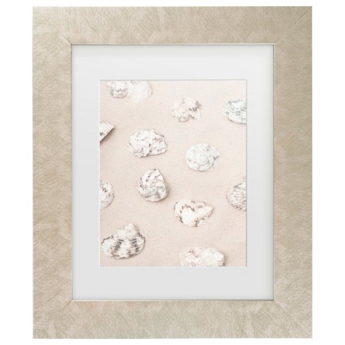 Trademark Fine Art - Pictufy Studio Shells 2 Matted Framed Art - image 1 of 4