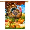 Turkey And Pumpkins Fall House Flag Thanksgiving Farm Autumn 28" x 40" Briarwood Lane - 2 of 4