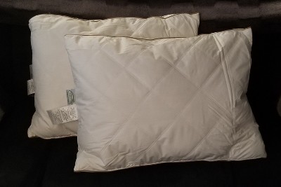 Set of 2 - Down Feather Bedding Comforter Pillow ME041-S2 20 x 26