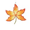 Crystal Expressions 4.0 Inch Autumn Leaf Ornament Fall Maple Tree Ornaments - 2 of 3