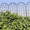 Black Metal Garden Trellis for Climbing Plants, 86.7'H x 19.7'W, Rustproof Outdoor Plant Support for Roses, Vines & Vegetables - 2 of 4