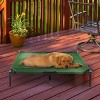 Pet Adobe Indoor/Outdoor Elevated Portable Pet Bed - 36" x 29.75", Green - 2 of 4