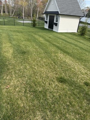 Guest review image 3 of 3, zoom in