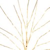 Nearly Natural 24-in Pre-Lit Artificial White Birch Branches with 80 Warm White LED Lights - Set of 2 - 3 of 4
