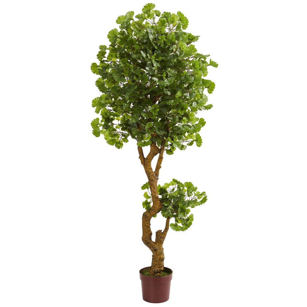 Photos - Garden & Outdoor Decoration 6ft Jingo Artificial Tree - Nearly Natural: UV-Resistant, Indoor/Outdoor, Potted