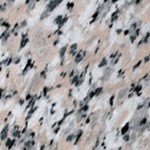 rose beta granite