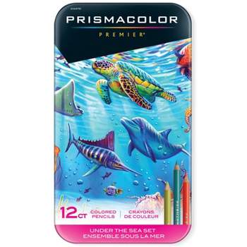 12ct Pro Colored Pencils With Case by Artsmith