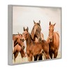 Stupell Industries Horse & Foals Photography, 14" x 11" - 3 of 4