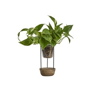 LiveTrends Troposphere - 1 of 4