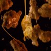 Melinda's Creamy Style Ghost Pepper Wing Sauce  - 12oz - 2 of 4