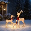 3-Piece Lighted Christmas Reindeer Set, Weatherproof Outdoor Decor with 290 Warm White LEDs, Sparkling Golden Deer Family, 5FT Holiday Ornament - 2 of 4
