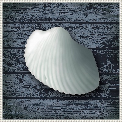 Seashore Shells Navy I White Floater Frame Canvas Wall Art