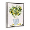 Stupell Industries Lemon Tree Detailed Planter, 17" x 21" - 3 of 4