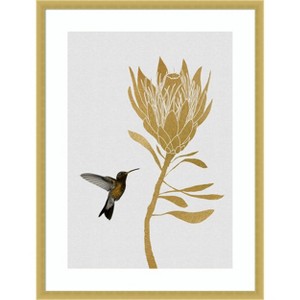Amanti Art Hummingbird a Flower I by Orara Studio Wood Framed Wall Art Print - 1 of 4